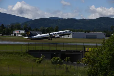 DSC_6299 (Large).JPG